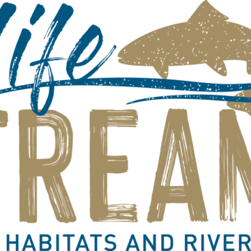 Logo Life Streams